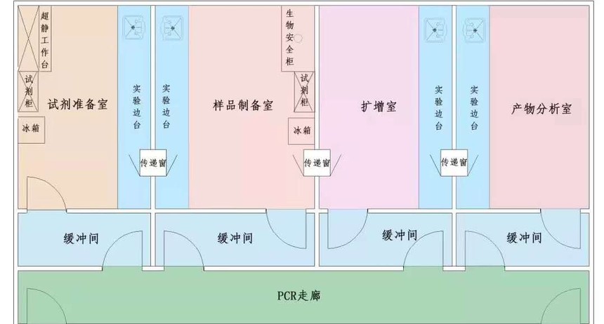 PCR实验室工程案例